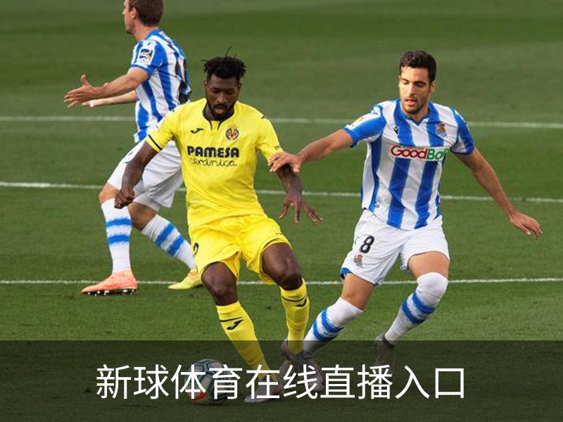 新球体育在线直播入口介绍